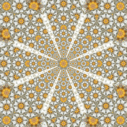 Daisy Fields Mandala