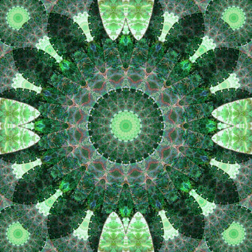 Emerald Shield Mandala